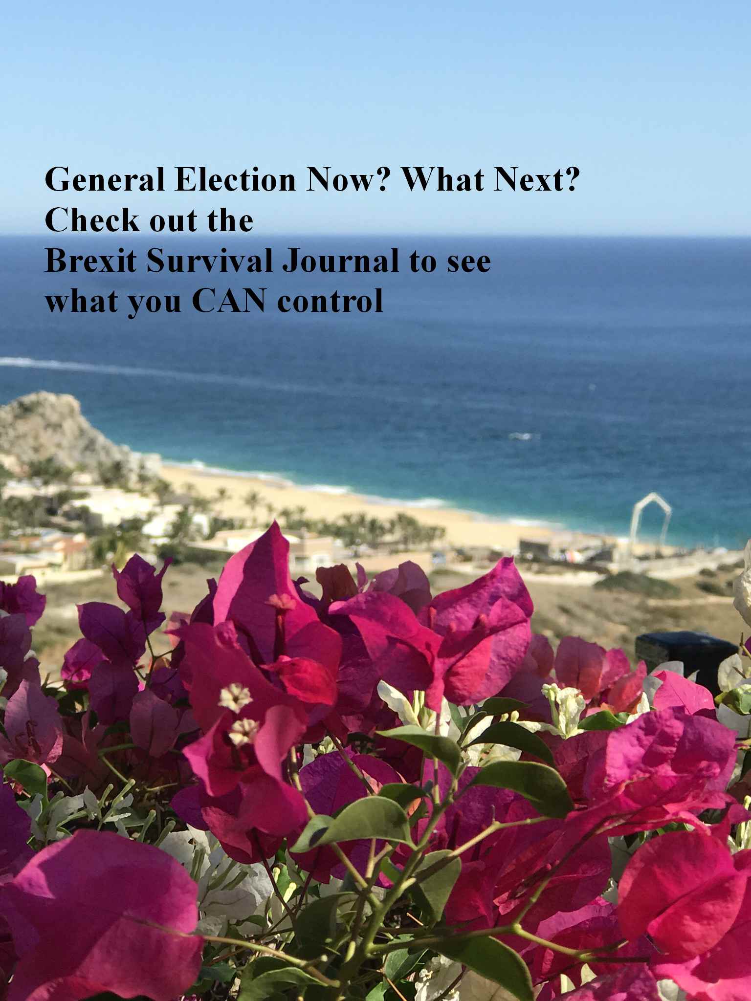 www.brexitsurvivaljournal.com