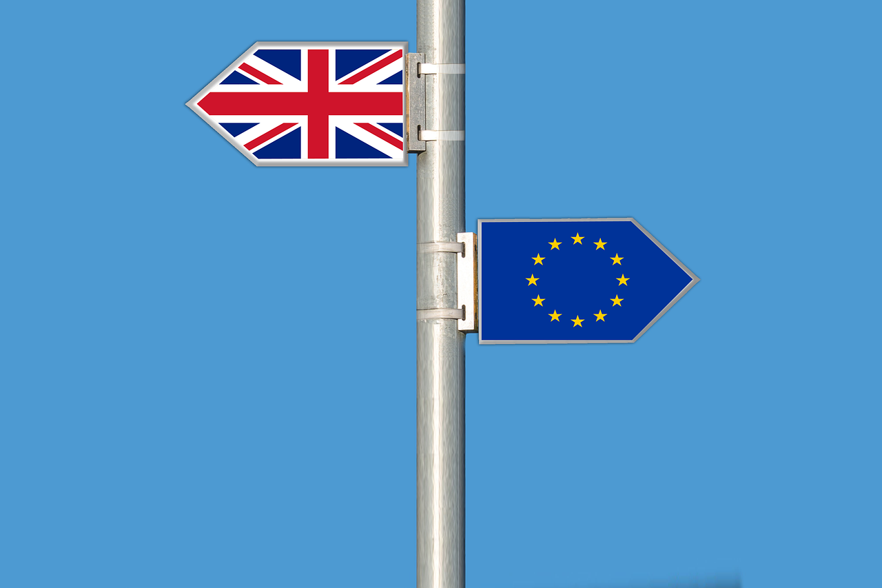 www.brexitsurvivaljournal.com