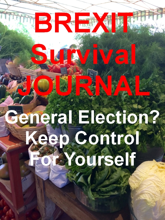 www.brexitsurvivaljournal.com